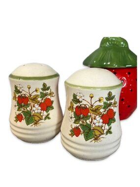 Vintage strawberry plant Salt & Pepper shakers 🍓